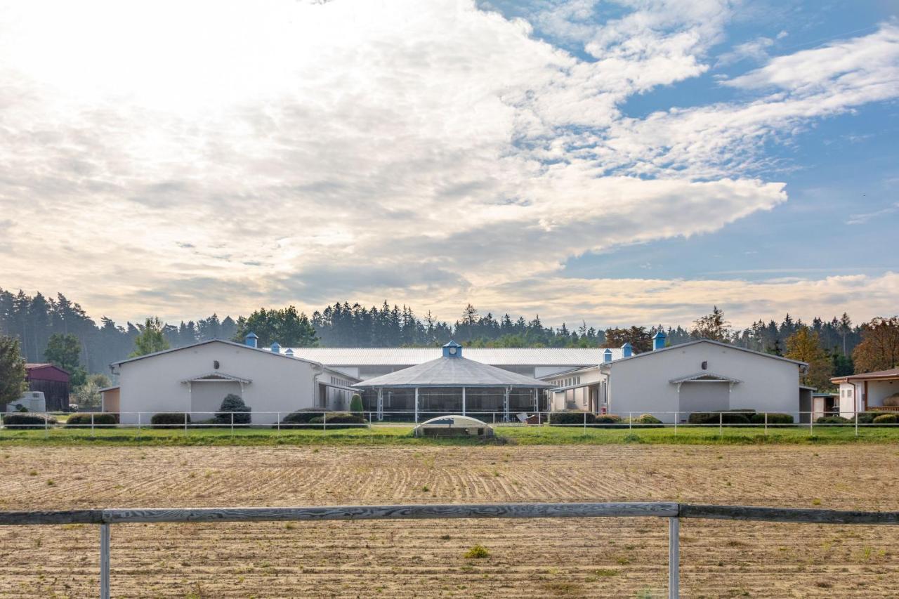 Farma Slunecny Dvur Apartmany A Family Stany Strecha Pod Strechou Hermanuv Mestec Exterior photo